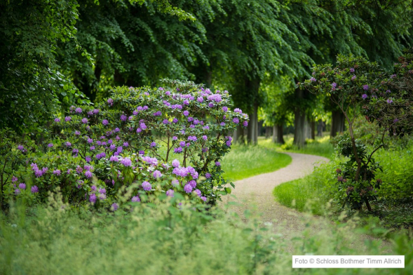 Schloss Bothmer Garten